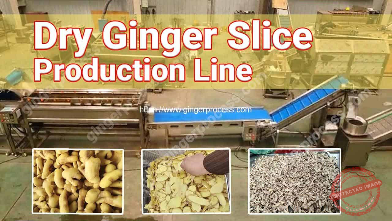 Automatic Dehydrated Ginger Slice Production Line | Ginger Processing ...