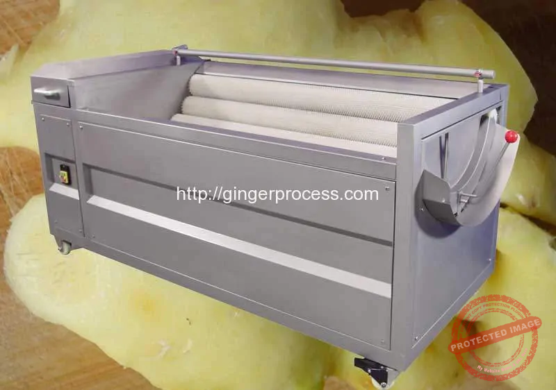 Brush-Type-Ginger-Washing-Peeling-Machine-for-Sale