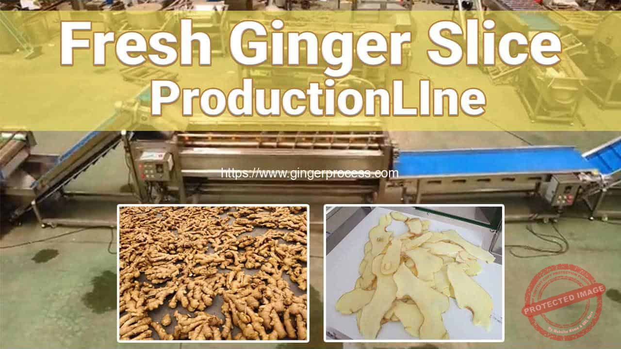 Full Automatic Ginger Washing Peeling Selecting and Slicing Line ...