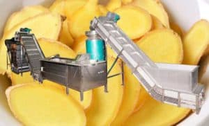 Automatic Ginger Separating, Washing Peeling and Slicing Line for Sale