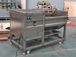 Automatic Ginger Washing Peeling and Juicer Machine for Guinea Customer