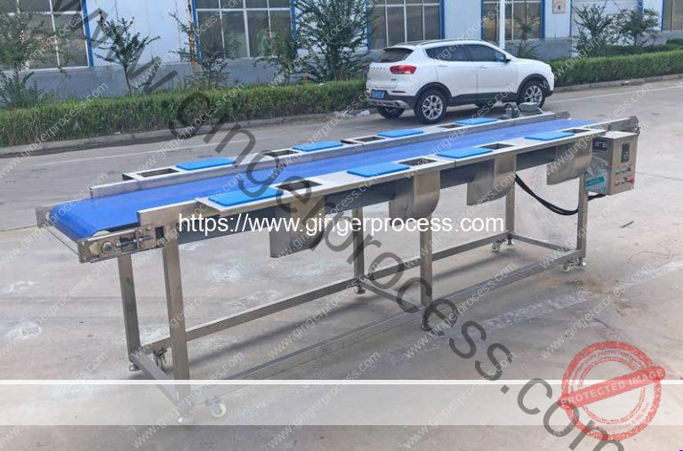 PVC Type Ginger Inspectoin Selection Conveyor with Cutting Board ...