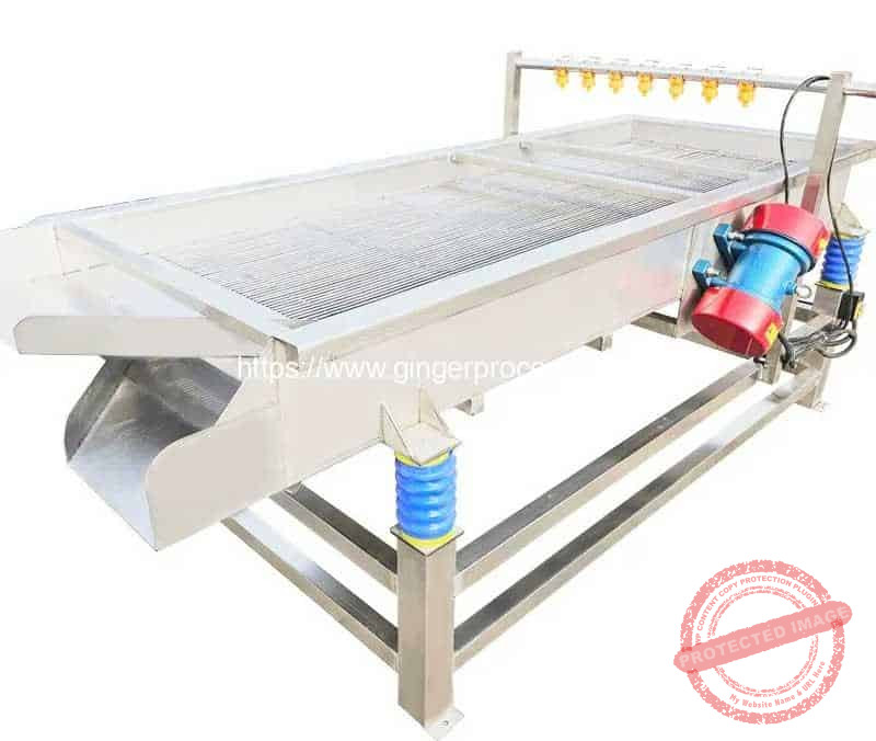 Automatic-Cutted-Ginger-Size-Vibrating-Steel-Rod-Screen-Sieve