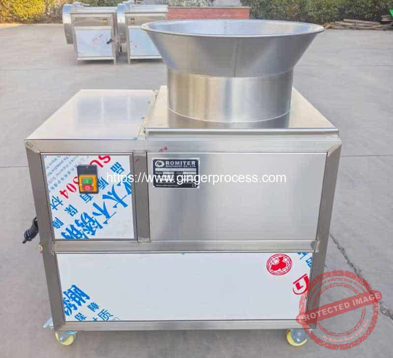 Automatic-Ginger-Slicing-Cutting-Machine-for-India