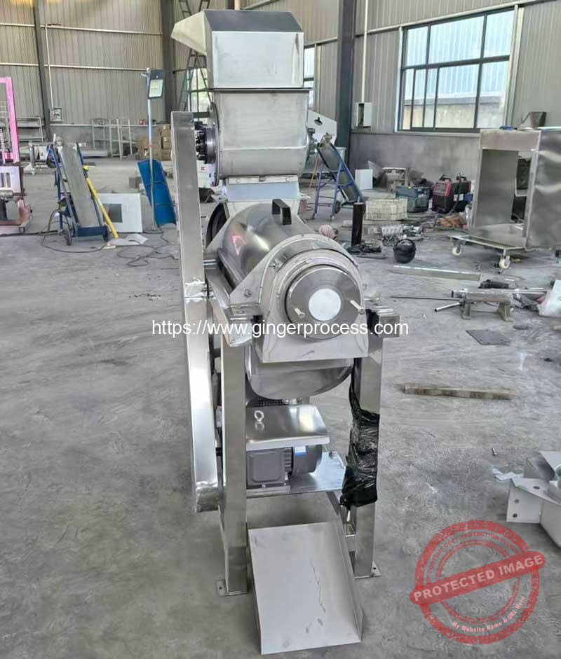 High-Quality-Ginger-Juice-Extracting-Making-Machine-Supplier