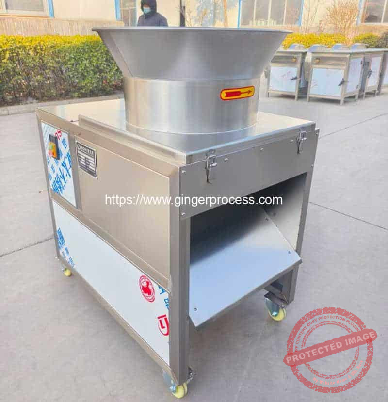 Rotary-Tornado-Ginger-Slicing-Cutting-Machine-for-India